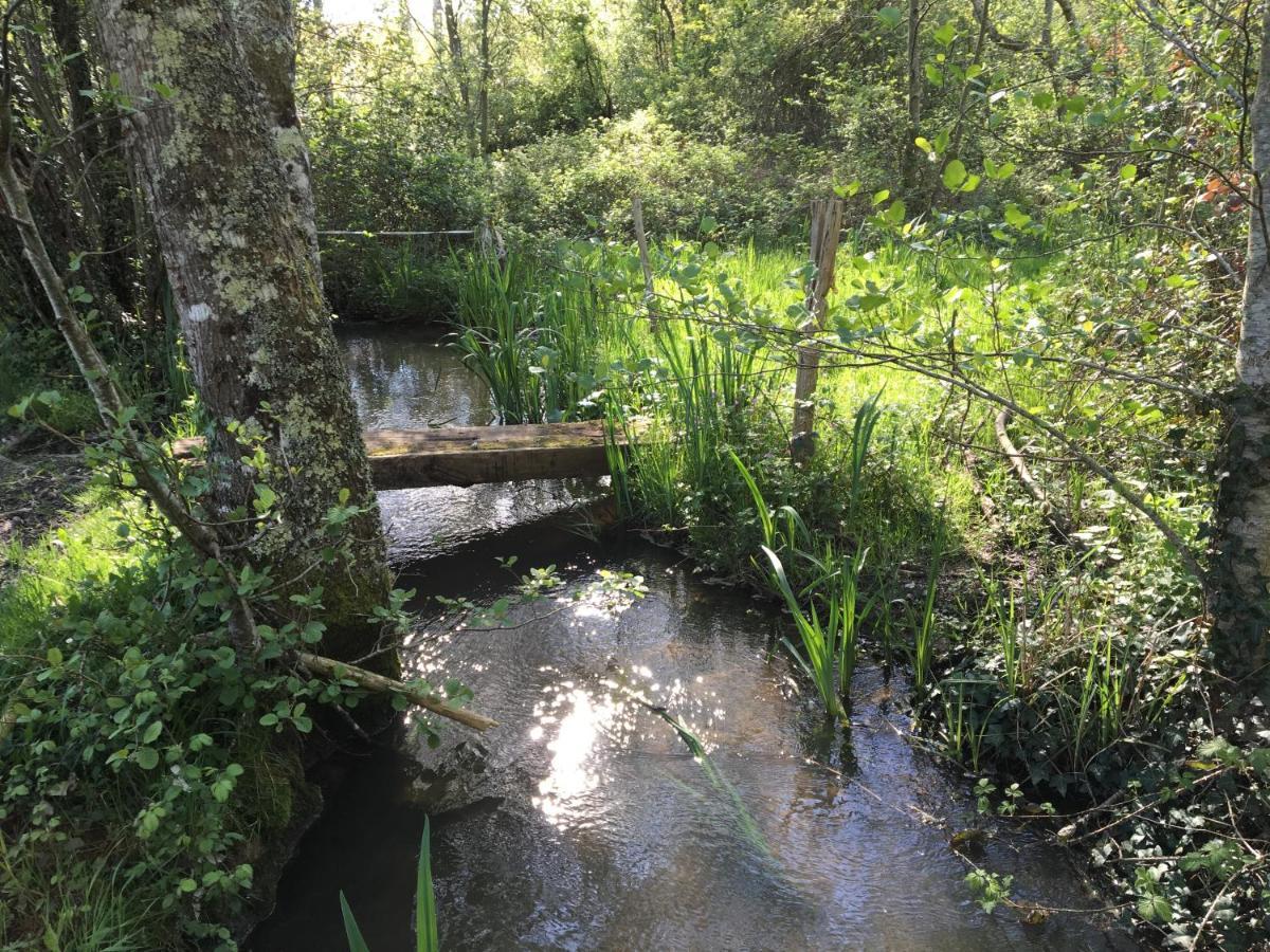 Romantic Mill Cottage 30 Min From Bergerac France Sourzac Luaran gambar